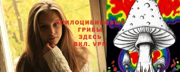 спиды Алексин