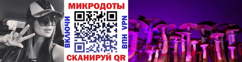 закладка  Приозерск  blacksprut маркетплейс  Псилоцибиновые грибы Psilocybe 