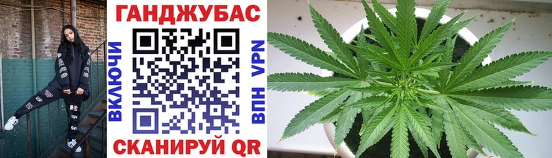 наркошоп  darknet телеграм  Бошки Шишки ГИДРОПОН  Приозерск 